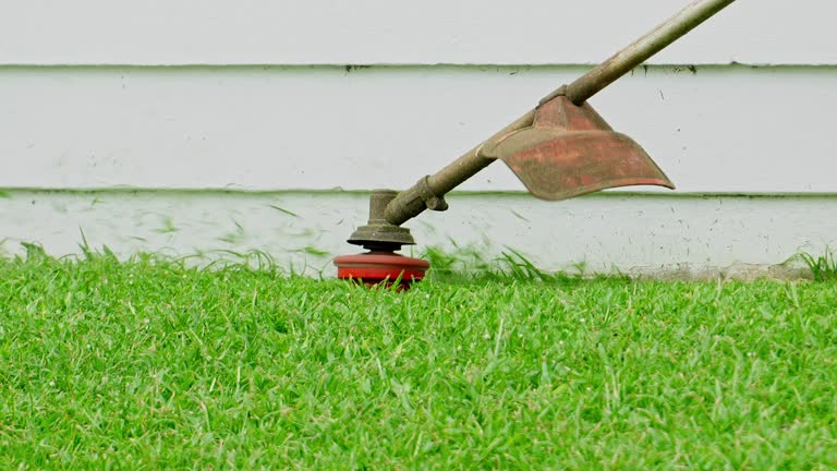 How Our Tree Care Process Works  in  Sigourney, IA